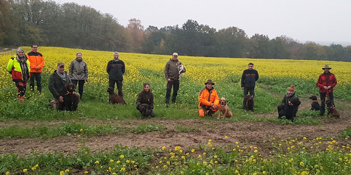 ASP Suchhunde Brandenburg