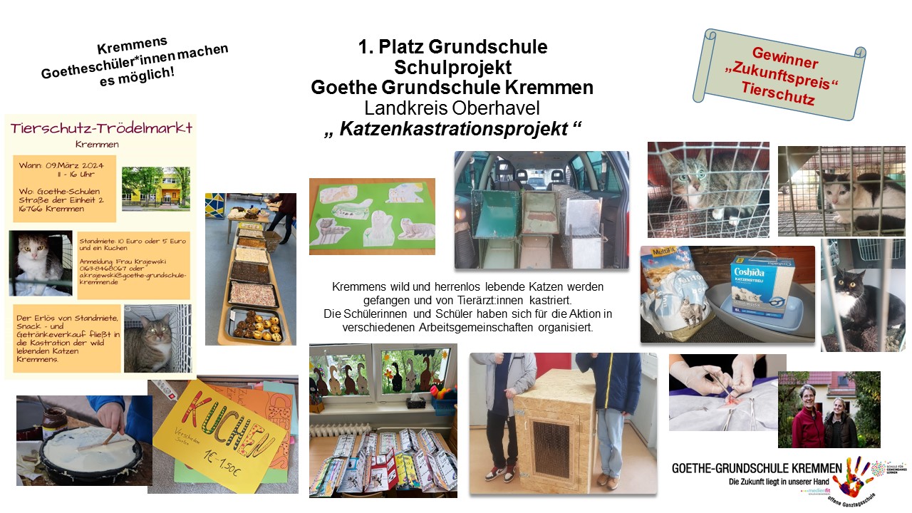 Dieses Foto zeigt das Katzenkastrationsprojekt der Goethe-Grundschule Kremmen im Rahmen des ersten Brandenburger Schülerwettbewerbs zum Thema Tierschutz.