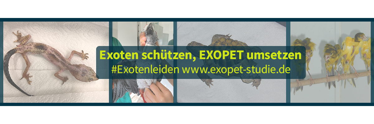 Banner Exopet 