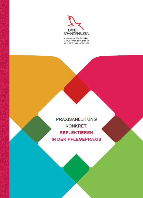 Titel Faltblatt Praxisanleitung konkret: reflektieren in der neuen Pflegepraxis